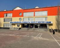 КӘСІБИ БАҒДАР ЖҰМЫСТАРЫ