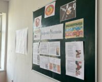 «Без здорового ребенка у страны нет будущего»