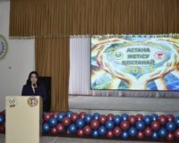 Солтүстікке қарай