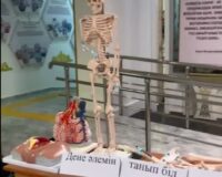 АПТАЛЫҚТЫҢ АУҚЫМЫ КЕҢ