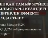 Открытый урок в Кызылординском высшем медицинском колледже